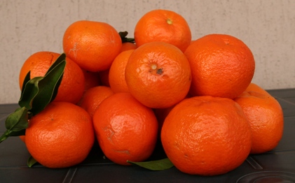 Mandarino - Vaso da 40
